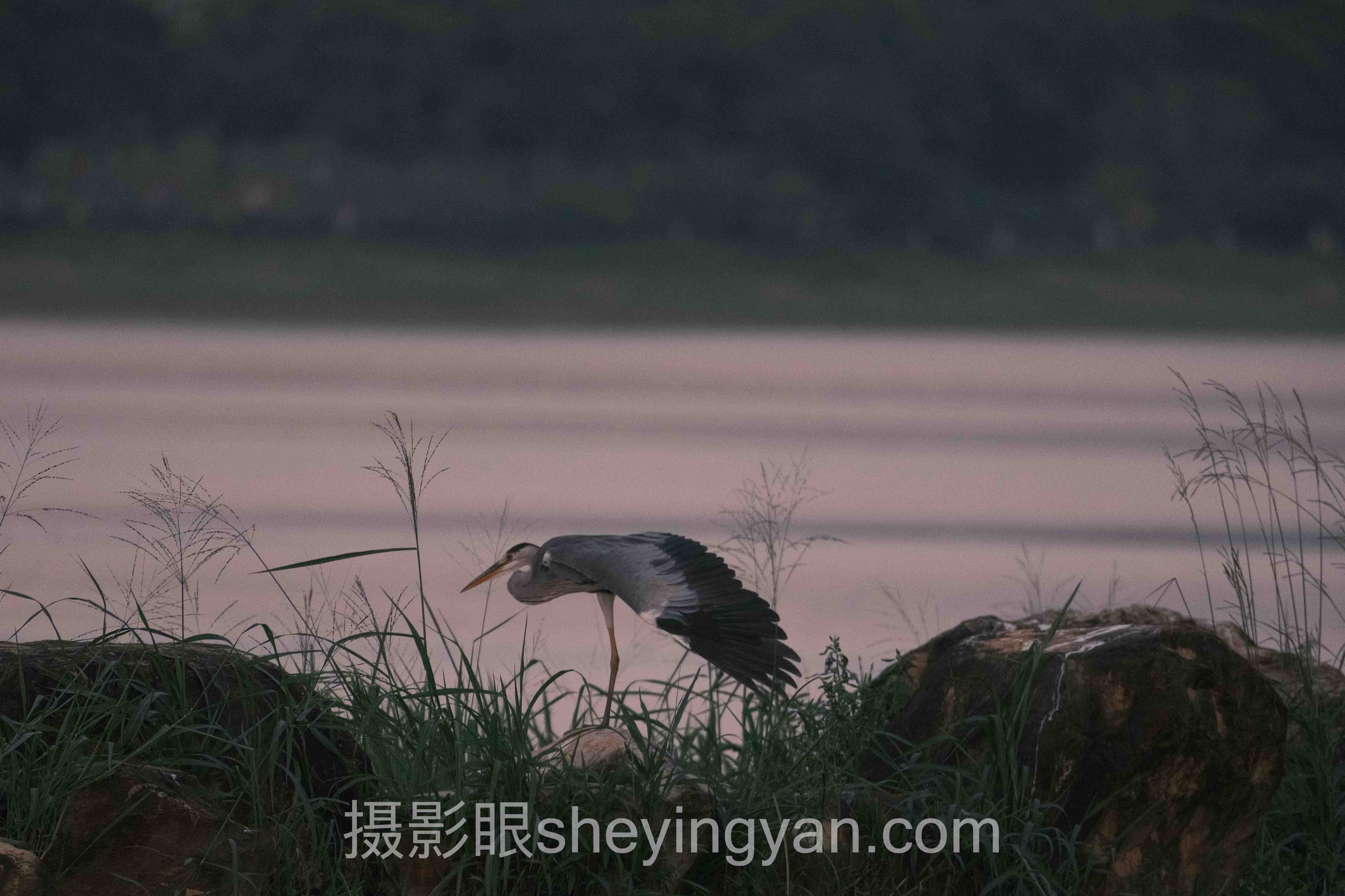 选摄影后期风格不踩坑：多维度对比指南