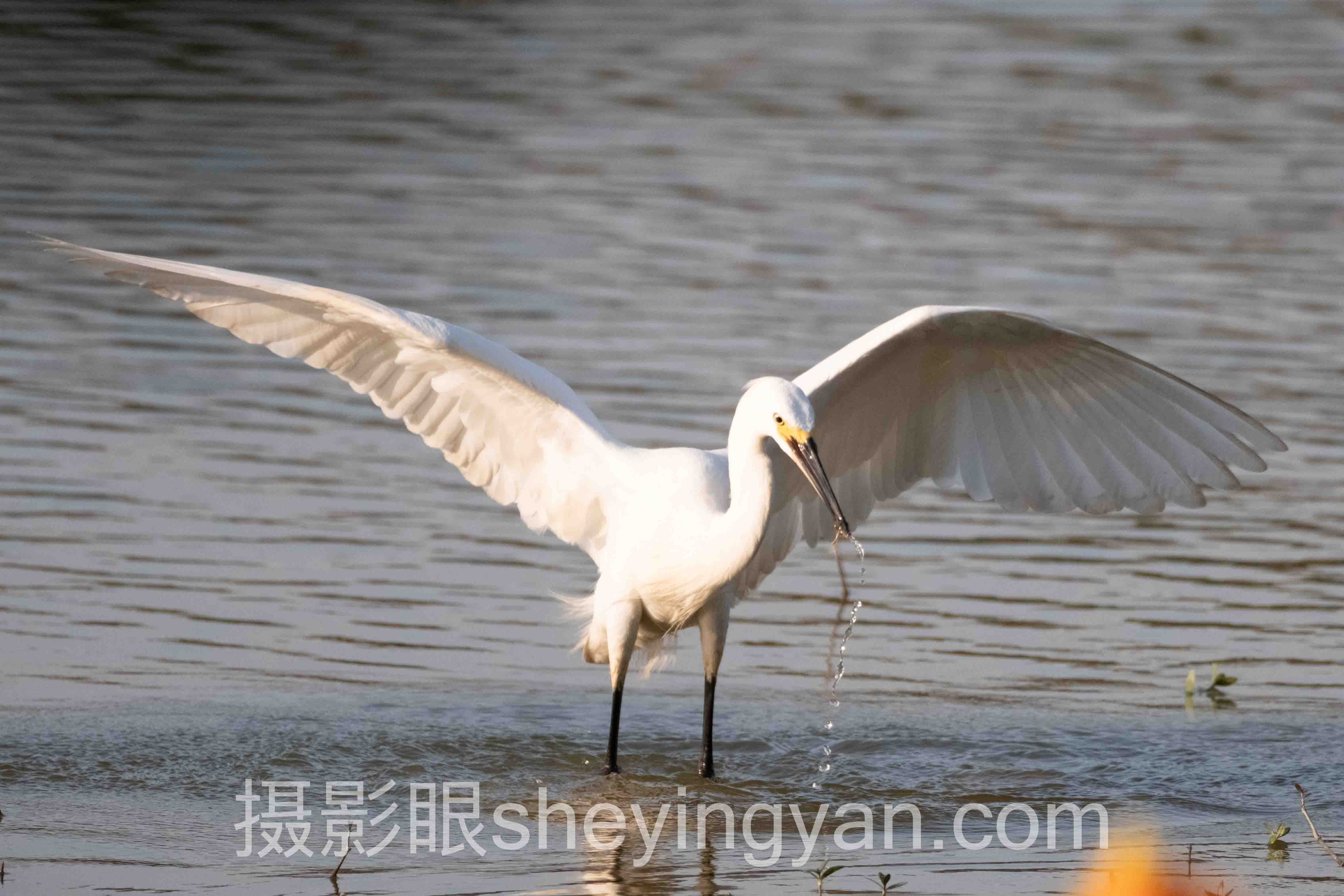 夜景摄影分析完整指南：从入门到精通的5个步骤